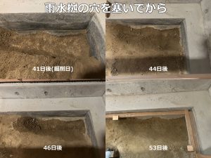 雨水枡の穴を塞いで屋内への雨水流入を遮断した後の湿り気のある部分を掘削して土の乾燥具合を経過観察した4枚の写真