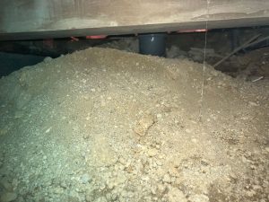 大量の土が置かれたトイレ床下